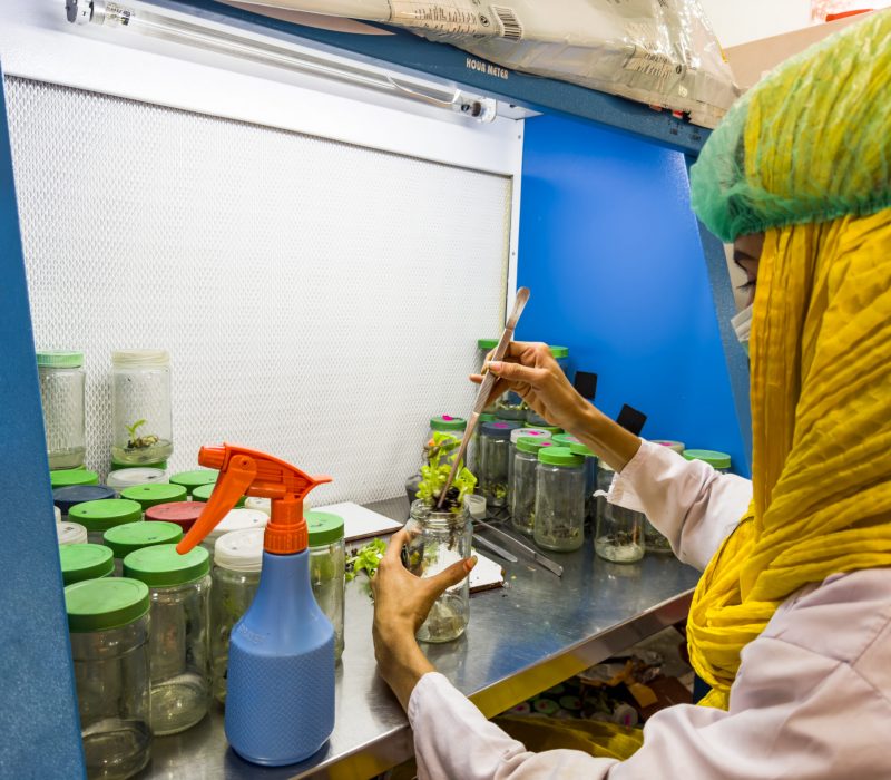Lab_p2-2